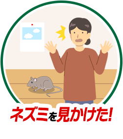 ネズミを見かけた！